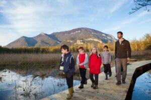 Promenade dans les Marais de Lavours, Ceyzerieu, Bugey, Ain.