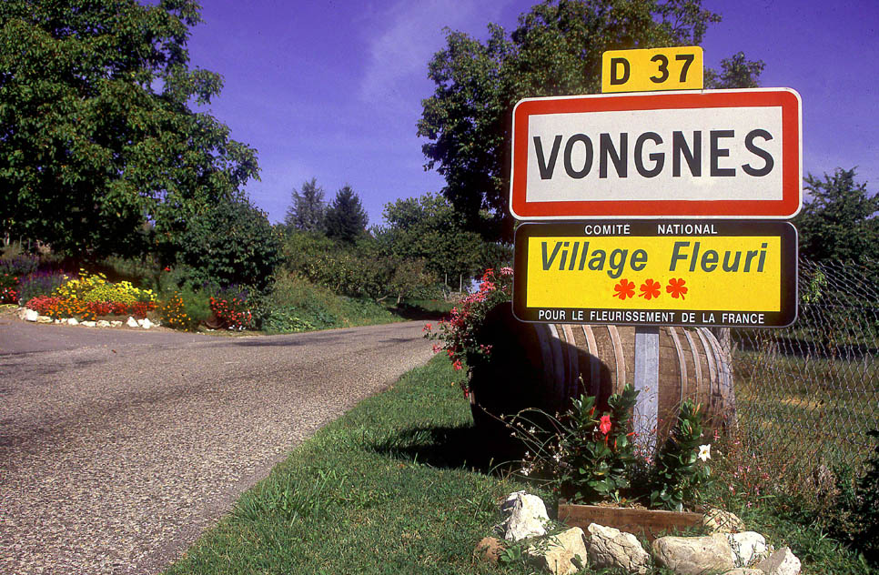 Vongnes village fleuri