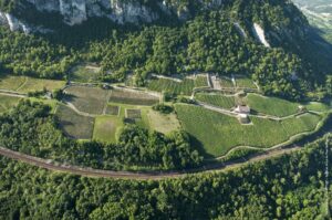 Le vignoble de Manicle (c) C. MARTELET - Syndicat Mixte du Pays du Bugey