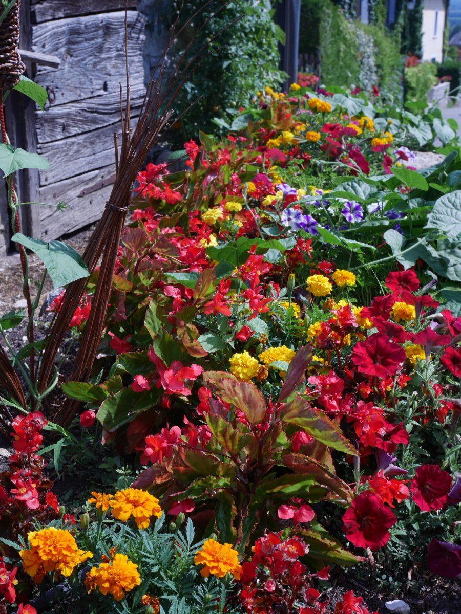 Vongnes village fleuri