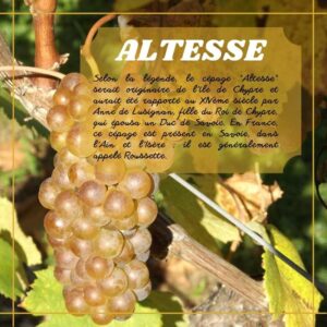 Altesse du Caveau Bugiste