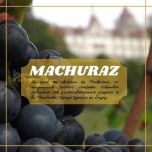 Machuraz rouge