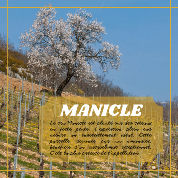 Manicle blanc cuvée de l'Amandier