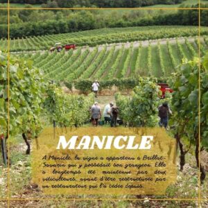 Manicle blanc cuvée des Eboulis