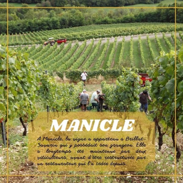 Manicle blanc cuvée des Eboulis