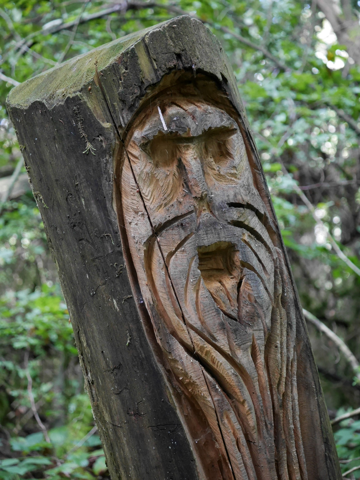 Sculptures vers la table d'orientation