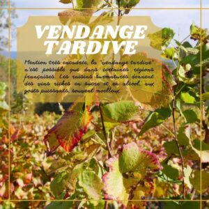 Vendange tardive