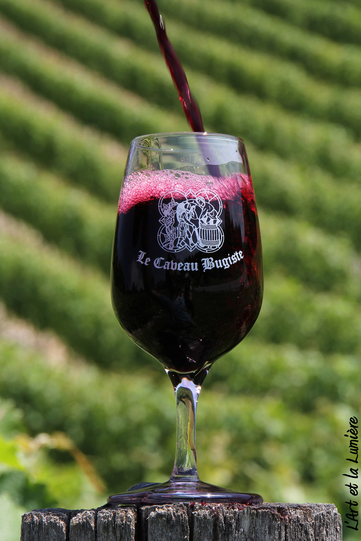 Verre de vin rouge du Bugey