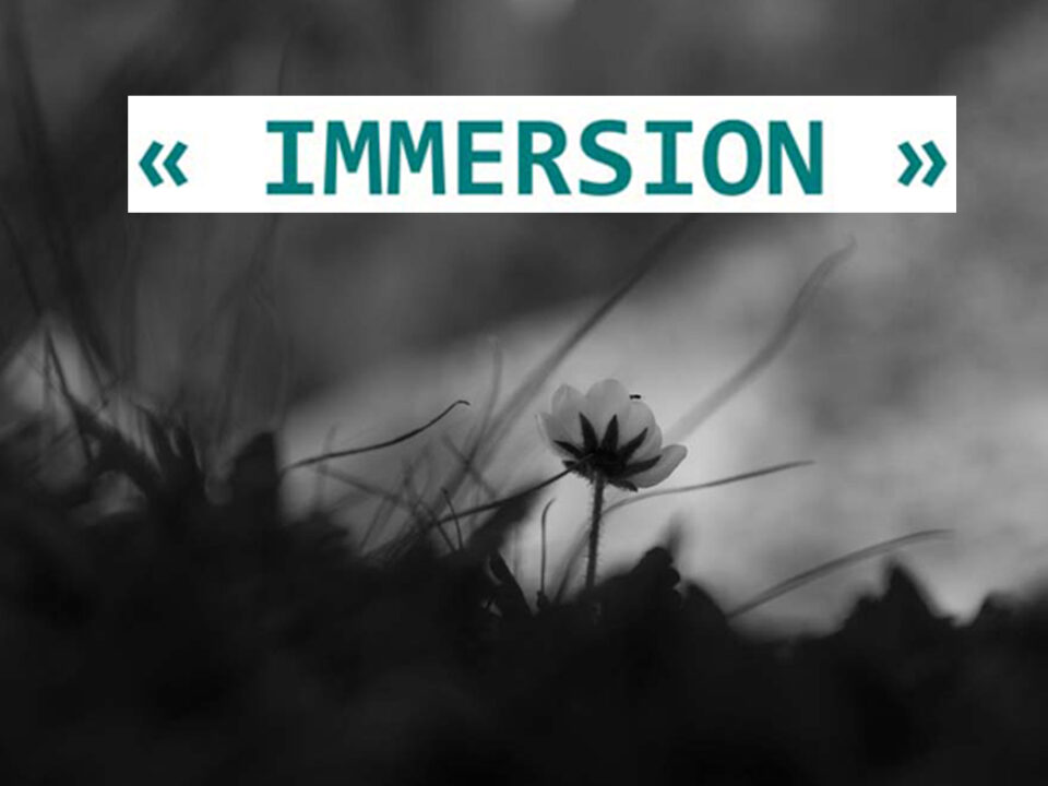 Immersion : exposition de photos de Alain Girard