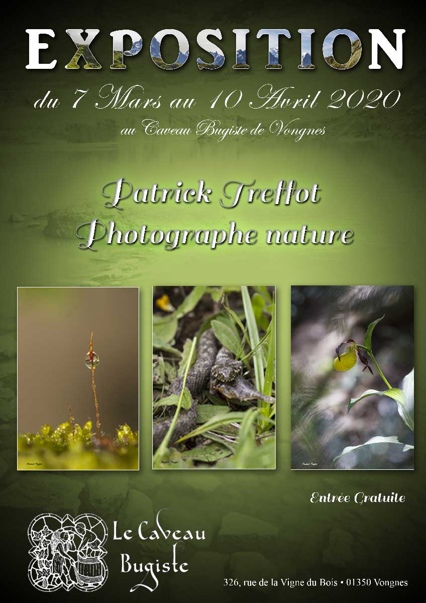 Exposition de Patrick Treffot, photographe nature