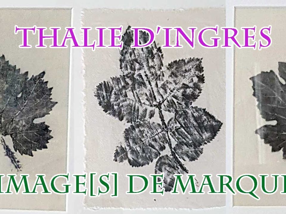 Exposition de Thalie d'Ingres