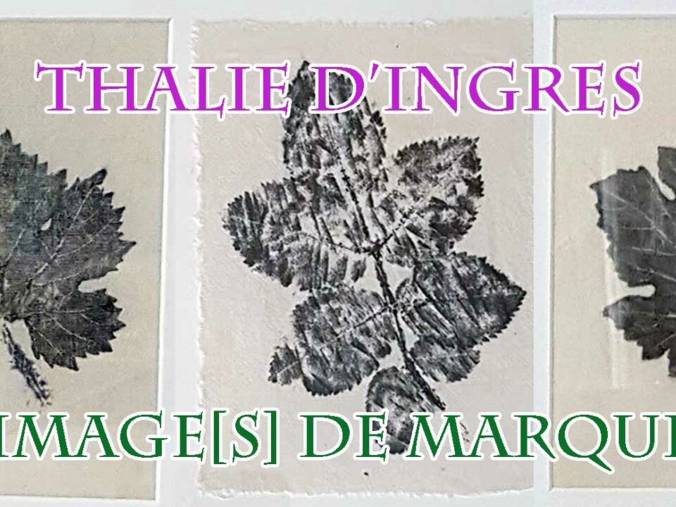 Exposition de Thalie d'Ingres