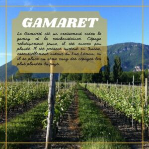 Gamaret du Caveau Bugiste
