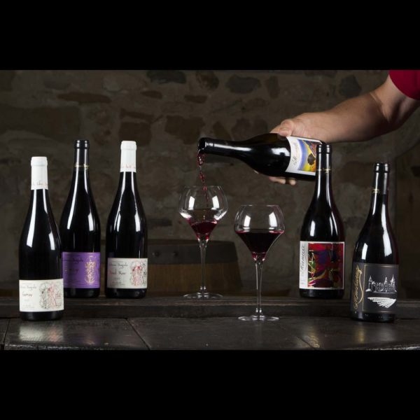 vins rouges du Caveau Bugiste
