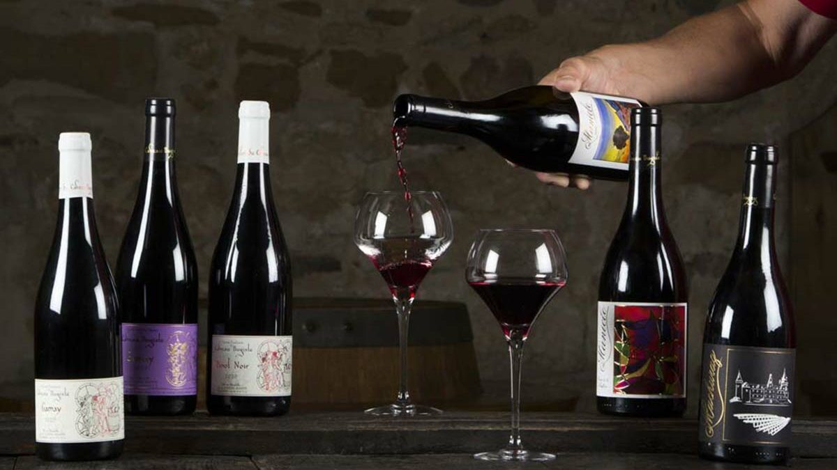 vins rouges du Caveau Bugiste