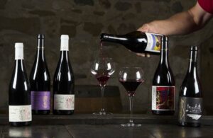 vins rouges du Caveau Bugiste