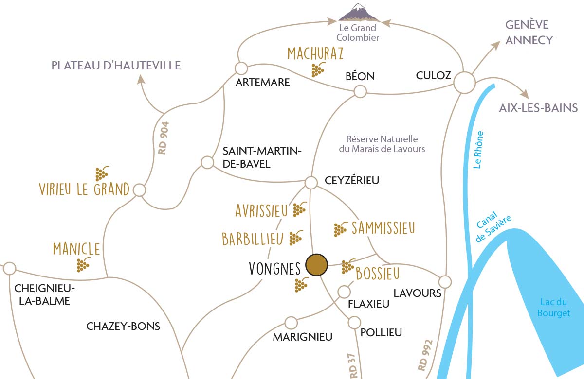 Carte interactive de notre vignoble