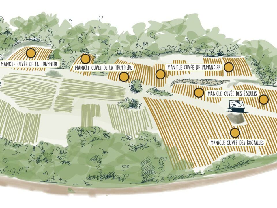 Carte interactive du vignoble de Manicle