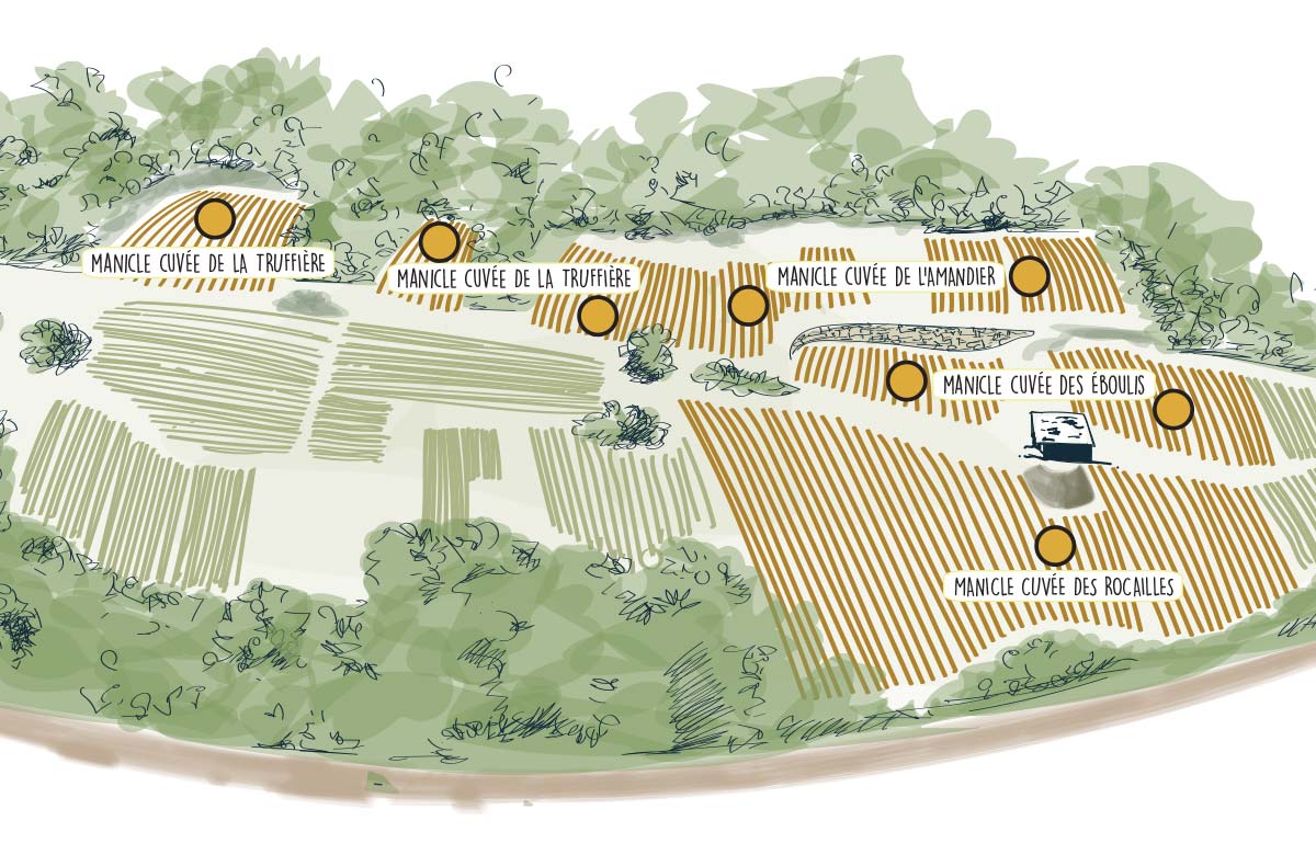 Carte interactive du vignoble de Manicle