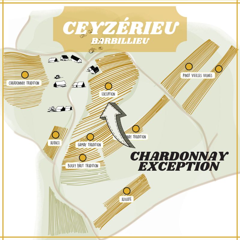 Parcelle d'Exception (Chardonnay)