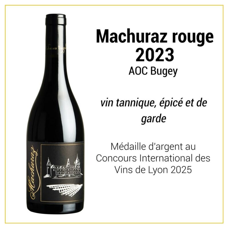 Colis de 6 bouteilles : nos vins médaillés