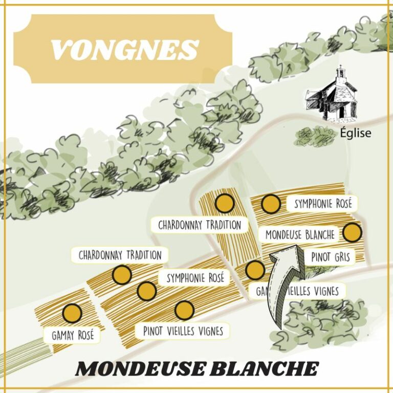 Mondeuse Blanche Le Caveau Bugiste