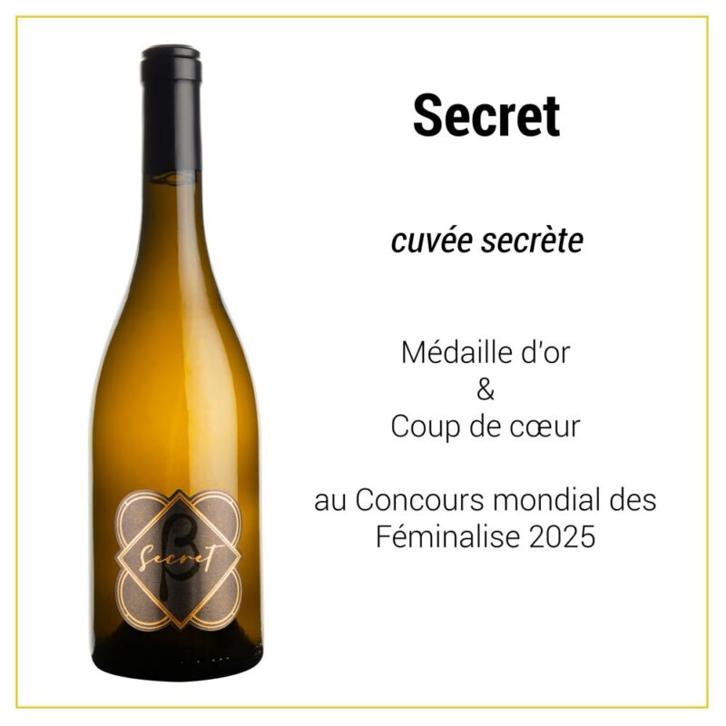 Colis de 6 bouteilles : nos vins médaillés