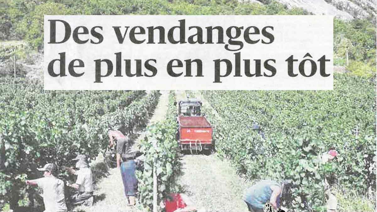 Des vendanges de plus en plus tôt