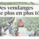 Des vendanges de plus en plus tôt