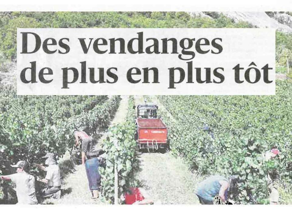 Des vendanges de plus en plus tôt