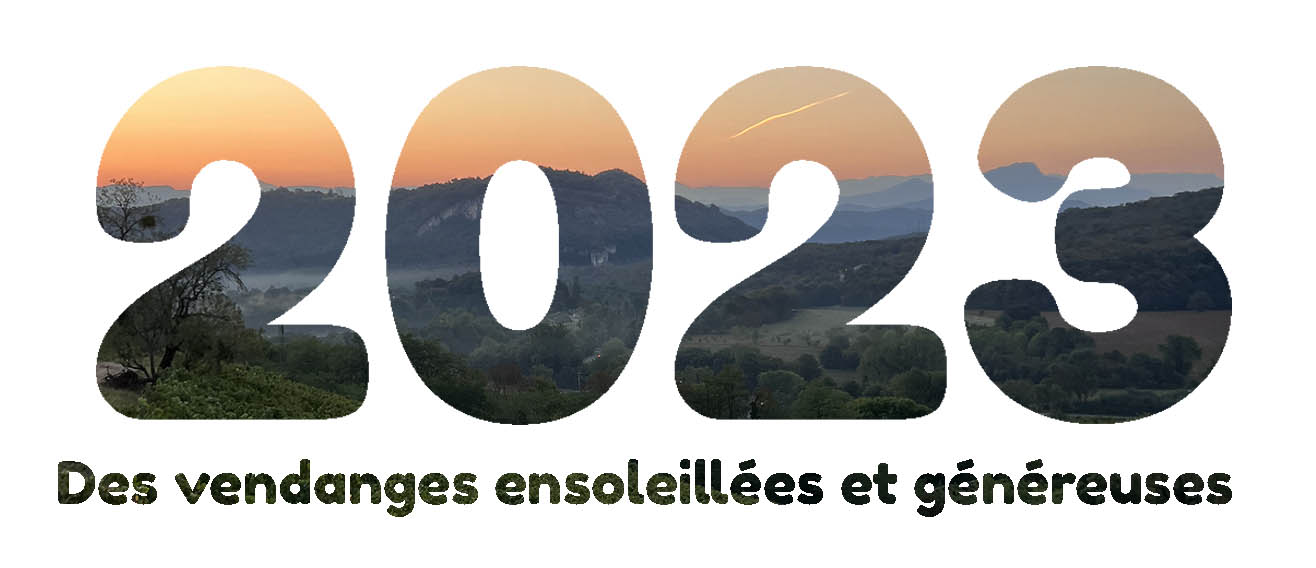 vendanges 2023