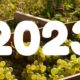 Vendanges 2023