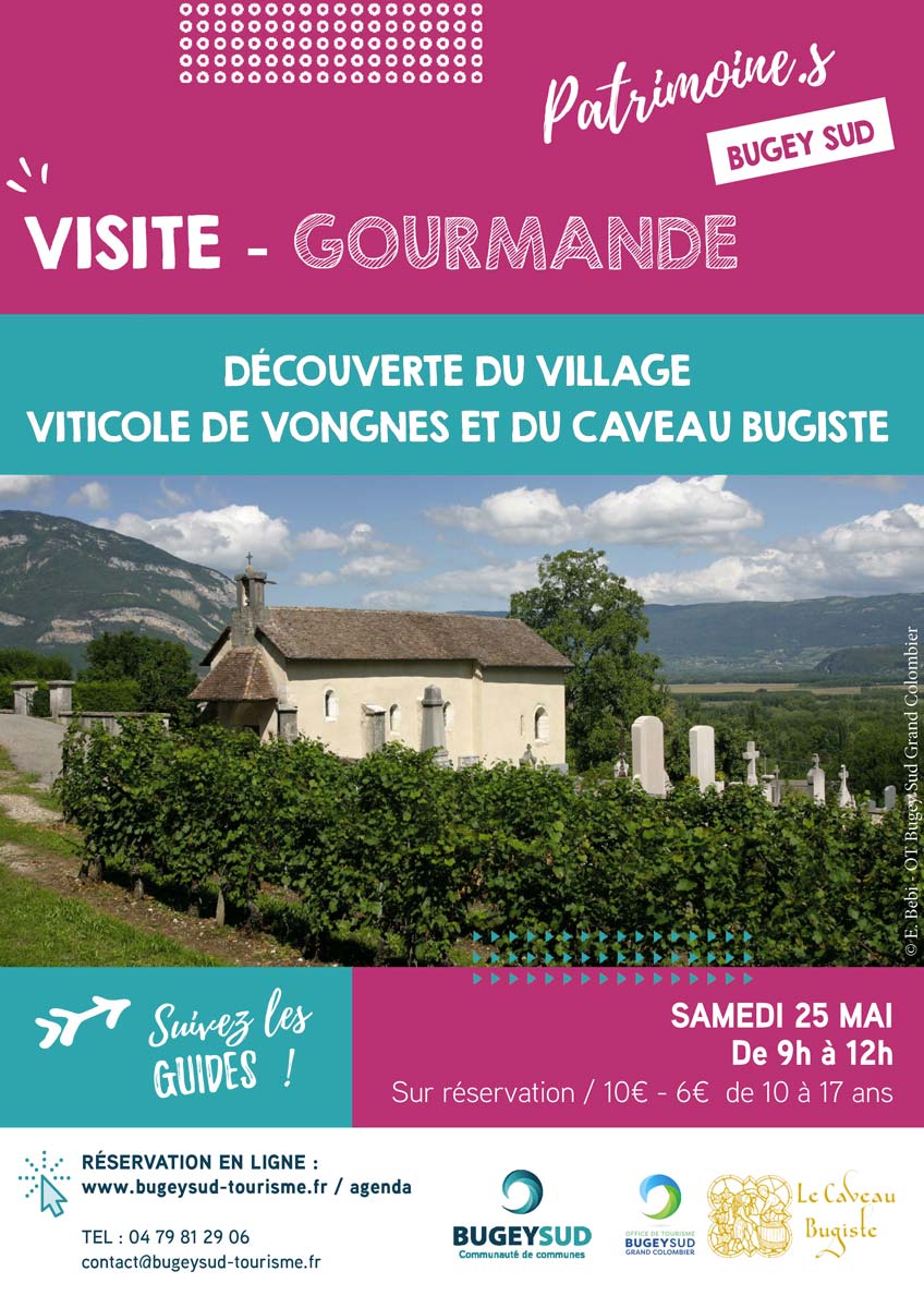 Visite gourmande : découverte du village viticole de Vongnes
