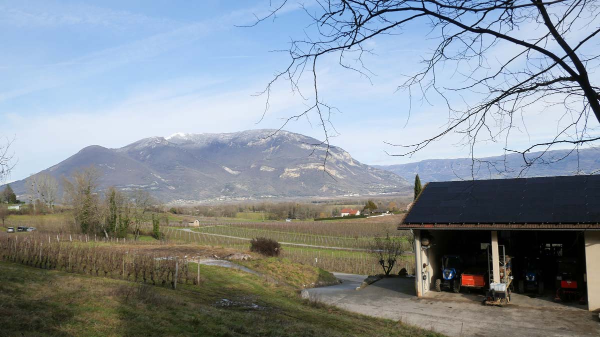 panneaux solaires au Caveau Bugiste